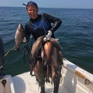 Meet your Posher, Kyle