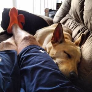 Meet your Posher, John