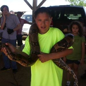 Meet your Posher, Alex