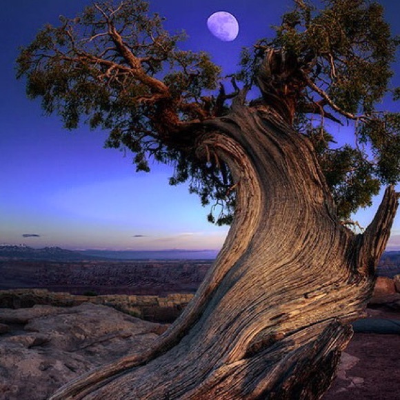 Meet your Posher, Brooklyn