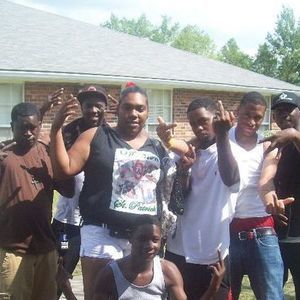 Meet your Posher, Donald