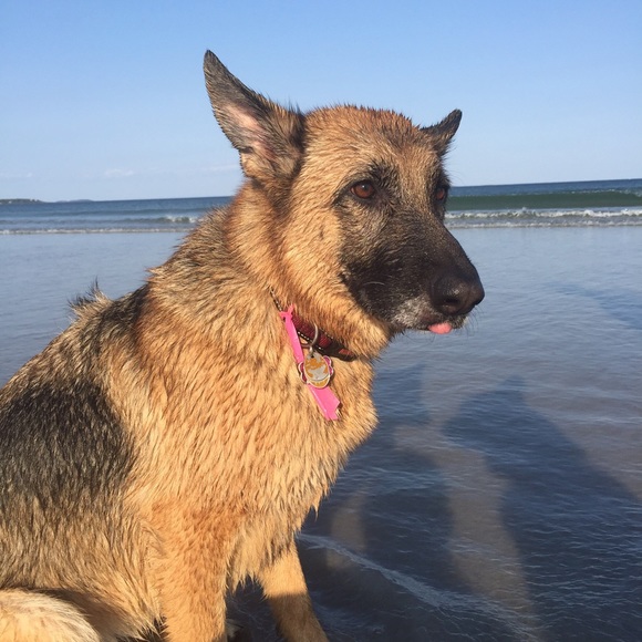 Meet your Posher, Sarah - Picture 1 of 1