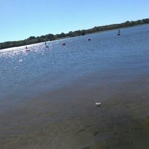 Meet your Posher, Tamara