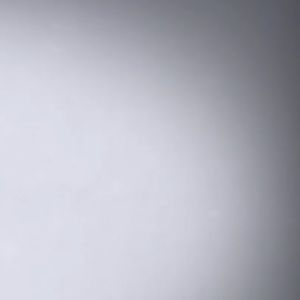 Meet your Posher, Alden