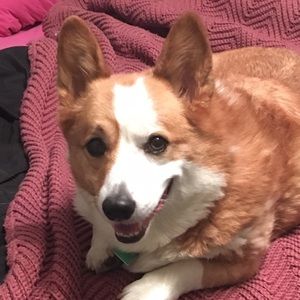 Meet your Posher, Vanessa