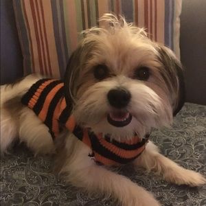 Meet your Posher, Missy