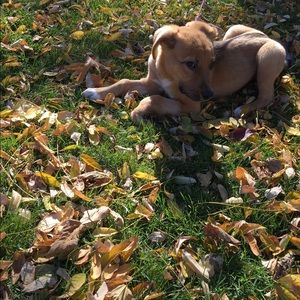 Meet your Posher, Eileen