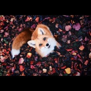 Meet your Posher, Katelyn