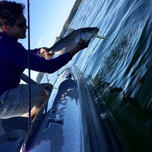 Meet your Posher, Tristen