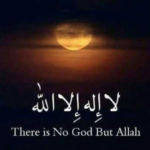 Meet your Posher, Abdullah