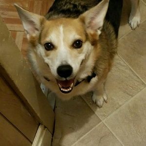 Meet your Posher, Carolyn