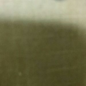 Meet your Posher, Jacoby