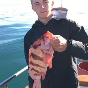 Meet your Posher, Alec