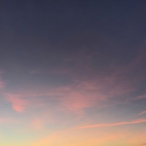 Meet your Posher, Alicia