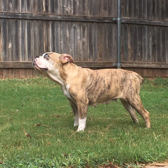 Meet your Posher, Ashley - Picture 2 of 4