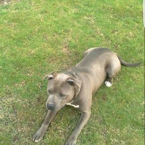 Meet your Posher, Daryl