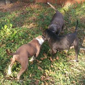 Meet your Posher, Derrick