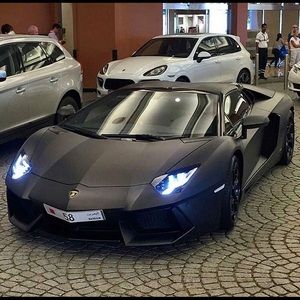 Meet your Posher, Gil