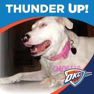 Meet your Posher, Joyce