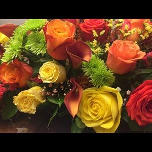 Meet your Posher, Tanya