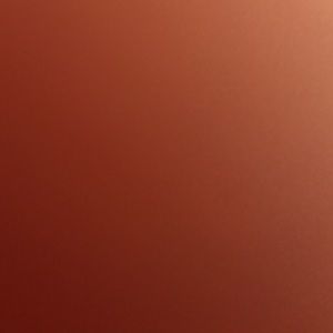 Meet your Posher, Amina