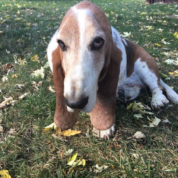 Meet your Posher, Keri