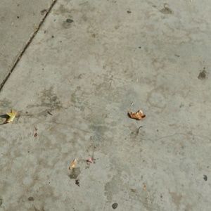 Meet your Posher, Ganiyat