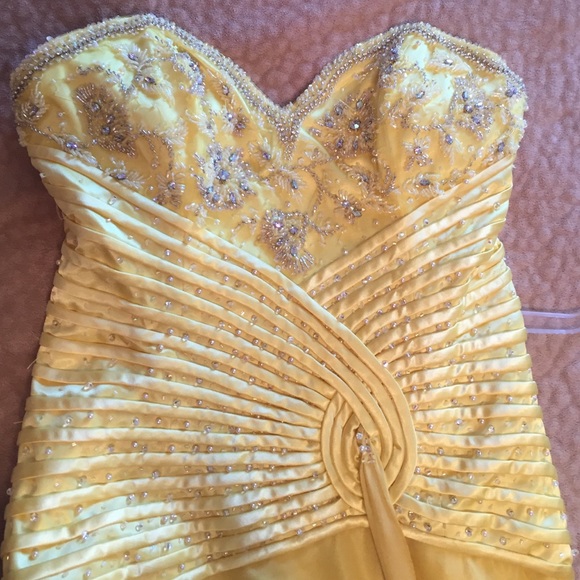 Terani gown