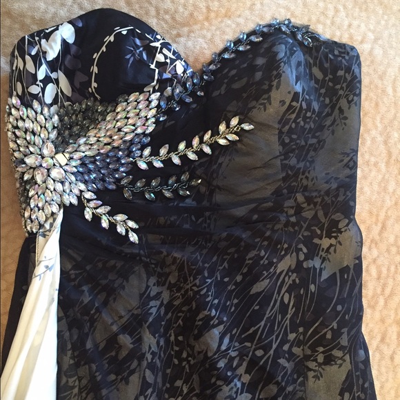 Terani dress