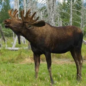 Meet your Posher, Maribel