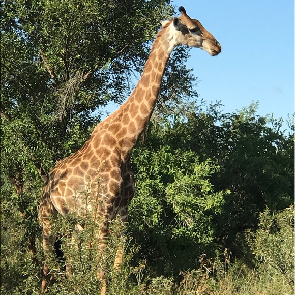 WELCOME TO MY CLOSET!!ππ» - Picture 2 of 5