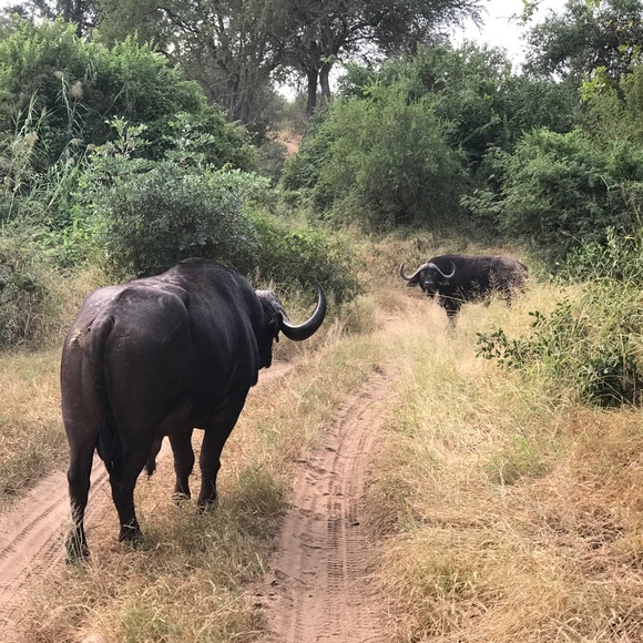 WELCOME TO MY CLOSET!!ππ» - Picture 4 of 5