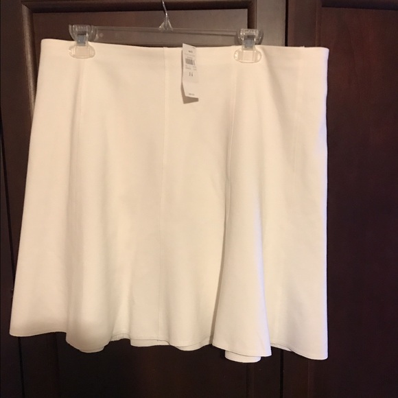 Ann Taylor Winter White Skirt