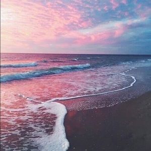 Meet your Posher, Liz