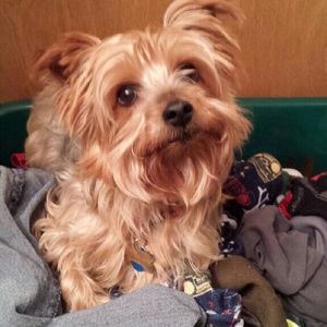 Meet your Posher, Debbie