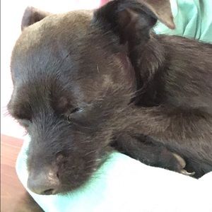 Meet your Posher, Sierra