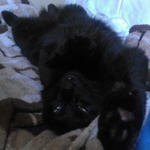 Meet your Posher, Emma