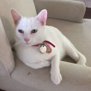 Meet your Posher, Joan