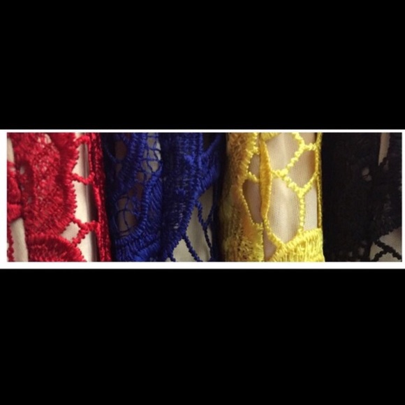 NWT Sweetheart Lace Dress: 3 Colors - Picture 4 of 4