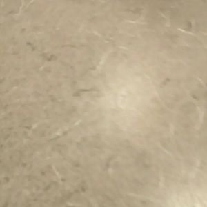 Meet your Posher, Cary