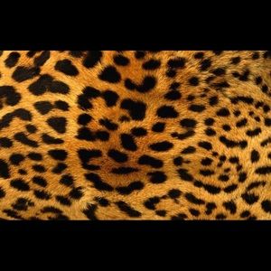 Meet your Posher, Lia