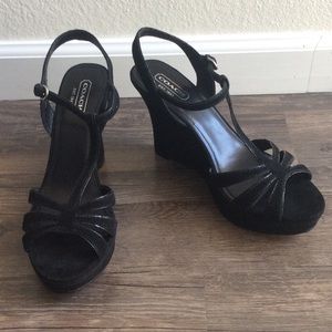 Brand New Coach Gabby