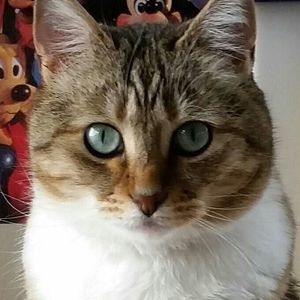 Meet your Posher, Shelley