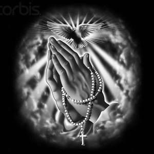 Meet your Posher, Gwendolyn