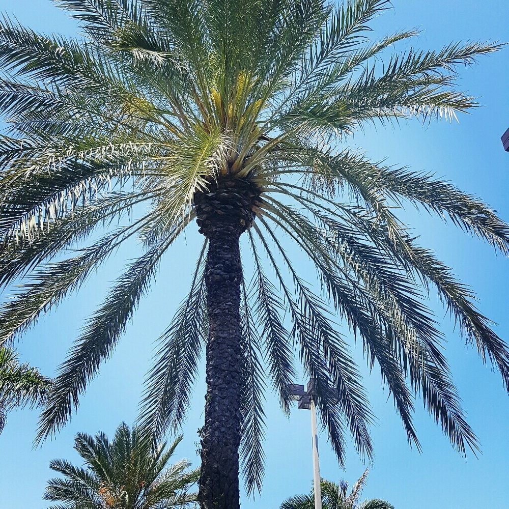 Meet your Posher, Kar