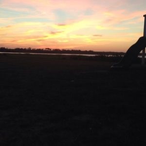 Meet your Posher, Steve