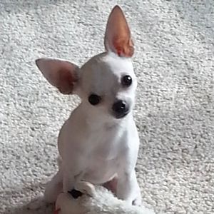 Meet your Posher, Cindy