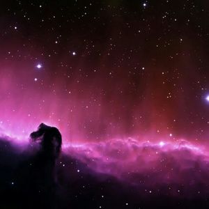 Meet your Posher, Jakia