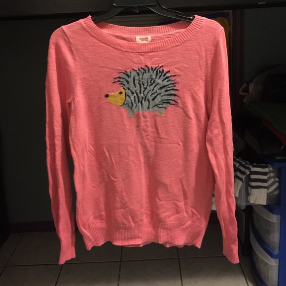 Mossimo Supply Co. Sweaters - Pink Adorable Hedgehog Sweater