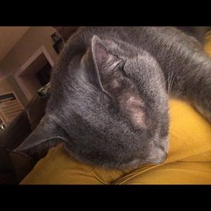 Meet your Posher, Jen